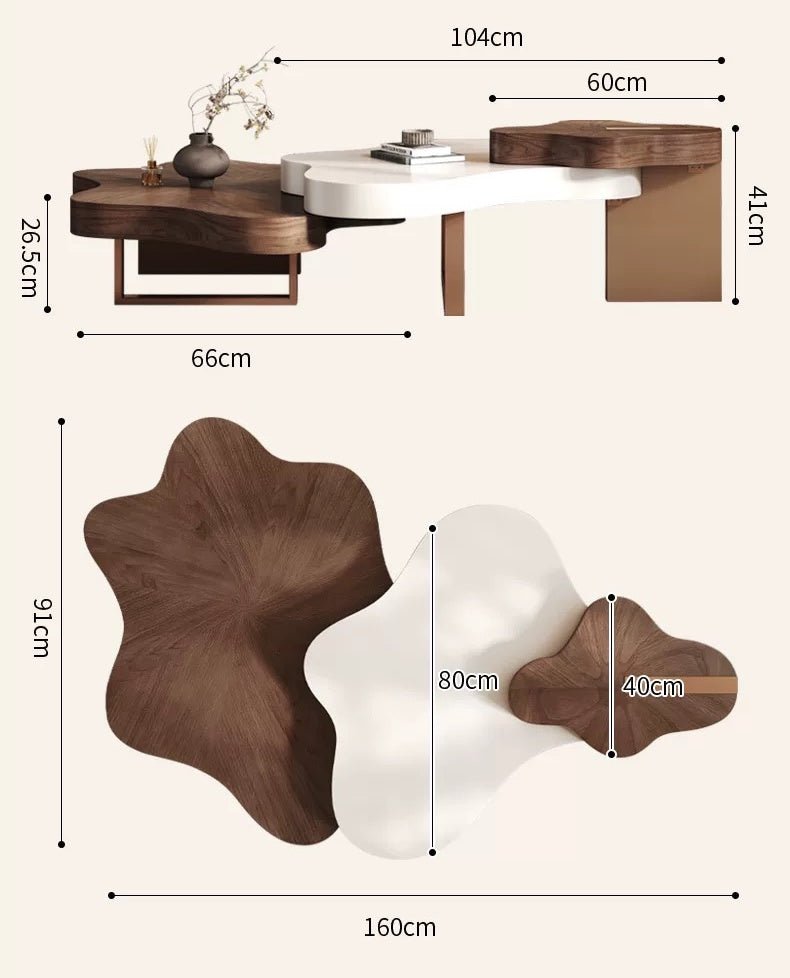 TV Stand + Cloud Coffee Table Set dimensions (2)