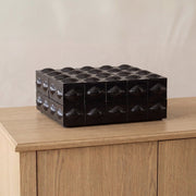 Argos Horn Box - Altera