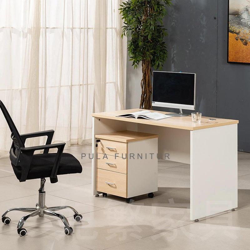 Pula BLV01 Modern Minimalist Office Desk with Wood Top and Frame for Single User