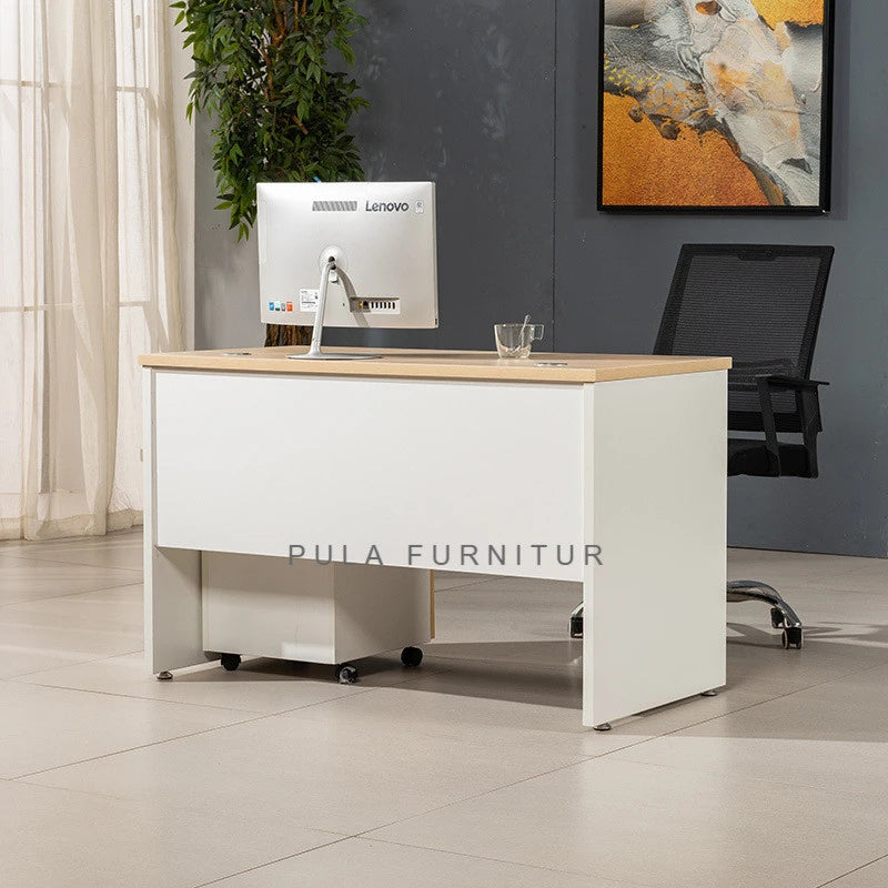 Pula BLV01 Modern Minimalist Office Desk with Wood Top and Frame for Single User