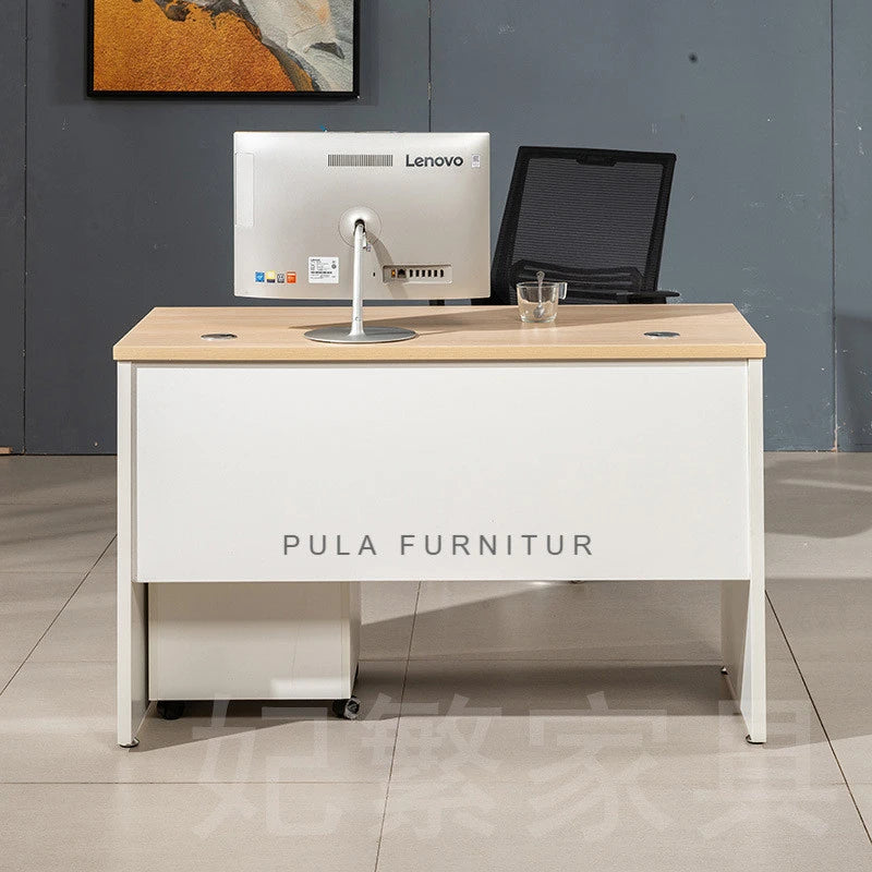 Pula BLV01 Modern Minimalist Office Desk with Wood Top and Frame for Single User