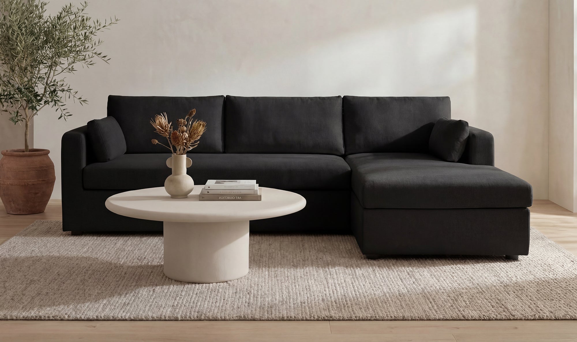 Boulder Sleeper Sectional with Storage Chaise - Altera