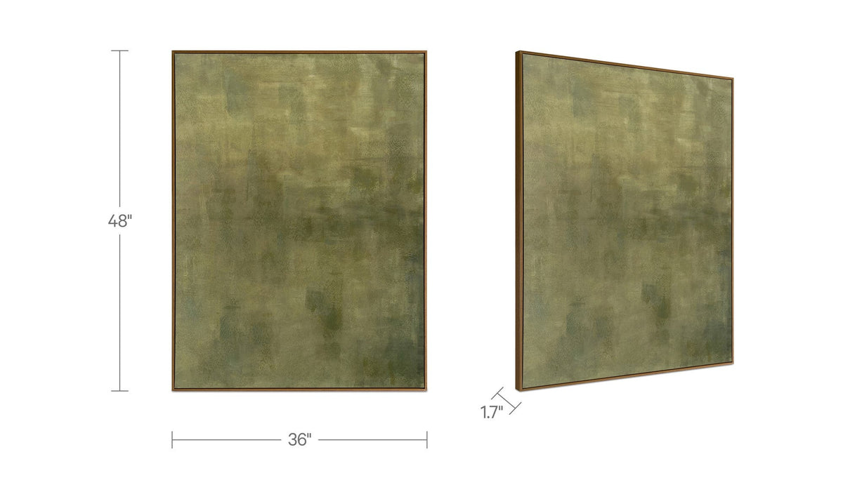 Olive dimensions