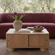 Hobart Storage Coffee Table in Natural — styled in a living room