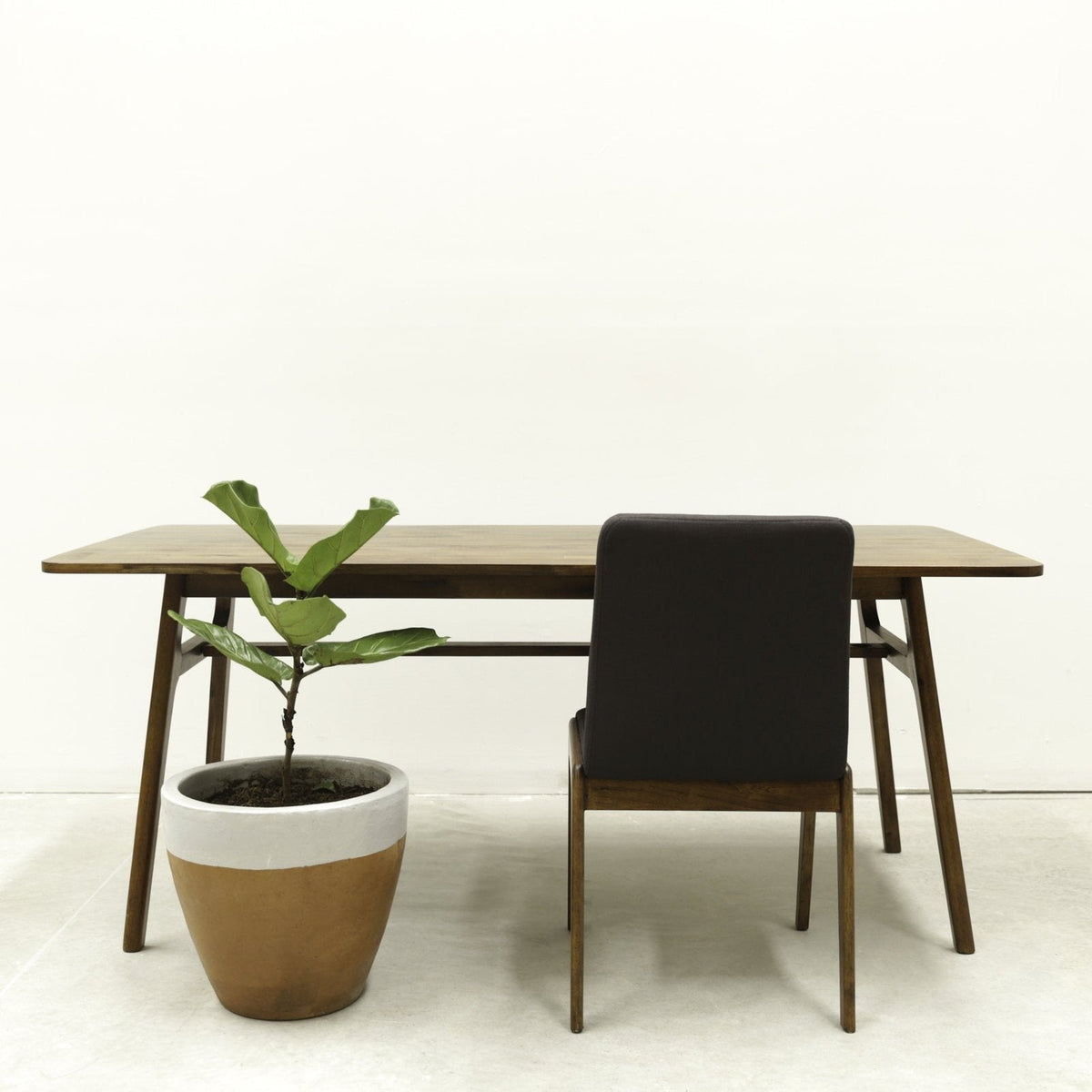 Radley Dining Chair - Altera