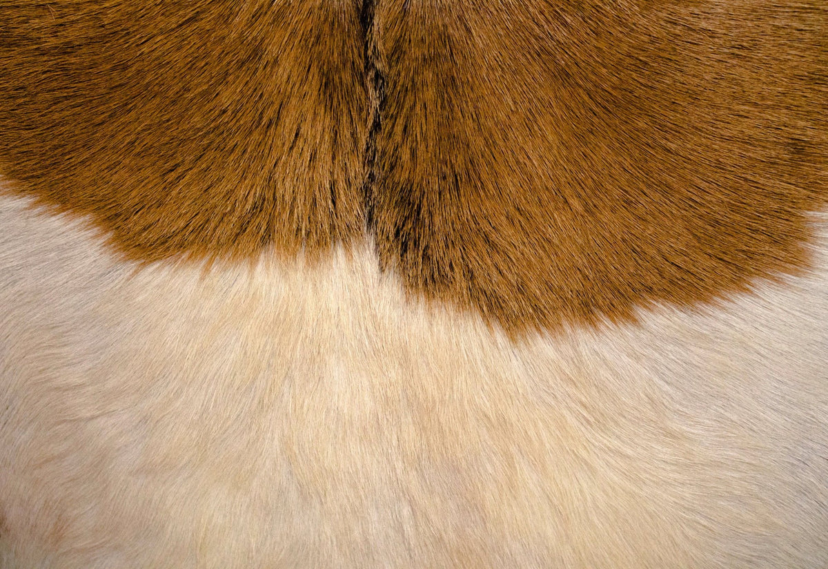 Richmond Goat Hair Armchair - Altera